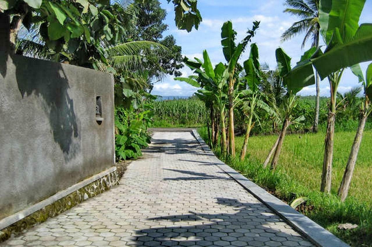 The Sawah Home Hotel Yogyakarta Eksteriør bilde
